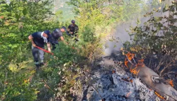 Dy orë në këmbë për të shuar flakët, zjarrfikësit neutralizojnë zjarrin në malin e Vinës, Gramsh