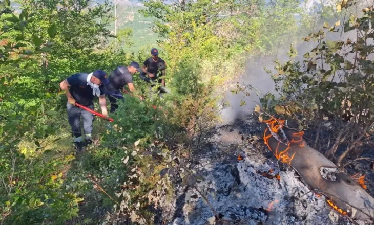 Dy orë në këmbë për të shuar flakët, zjarrfikësit neutralizojnë zjarrin në malin e Vinës, Gramsh
