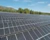 Dy parqe të mëdha fotovoltaike në Shqipëri – ERE nis procedurat për 120 MW në Lushnjë dhe Devoll