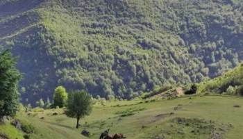 Dy turistë humbin rrugën në malin e Çikës, nisin kërkimet pas sinjalit SOS