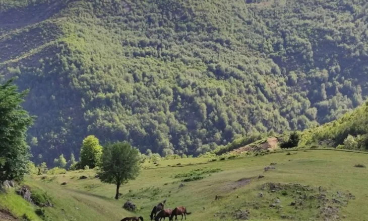 Dy turistë humbin rrugën në malin e Çikës, nisin kërkimet pas sinjalit SOS