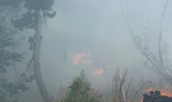 Dy vatra zjarri aktive në Dibër e Bulqizë/ Flakët favorizohen nga erërat e forta, angazhohen strukturat përkatëse