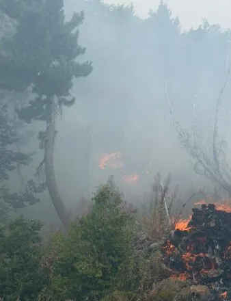 Dy vatra zjarri aktive në Dibër e Bulqizë/ Flakët favorizohen nga erërat e forta, angazhohen strukturat përkatëse