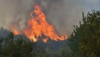 E fundit: 8 vatra zjarri mbeten aktive, shpëtohen disa banesa në Pukë e Mirditë, ndërhyrje nga ajri në Dukat!
