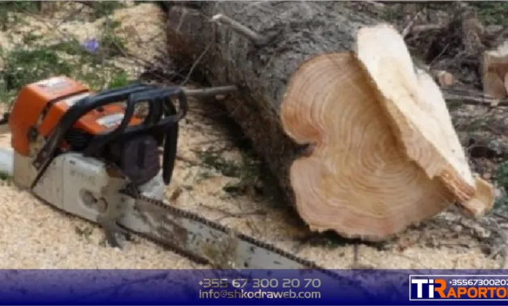 E TRISHTË – U plagos rëndë duke prerë dru në Shosh, ndërron jetë në spital 47- vjeçari…