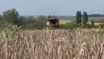 Ekonomia e luftës që prek xhepin, rritet çmimi i grurit pas sulmeve, Hormuzi shtrenjton karburantin