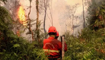 El Niño ndez krizën e zjarreve në Indonezi, afro 95 mijë hektarë u dogjën vetëm në korrik