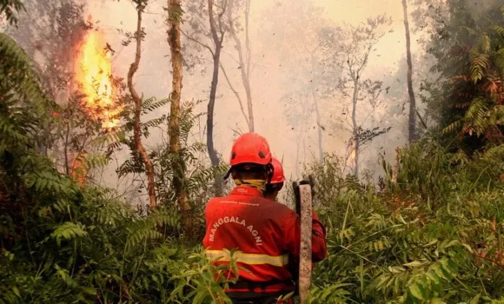 El Niño ndez krizën e zjarreve në Indonezi, afro 95 mijë hektarë u dogjën vetëm në korrik