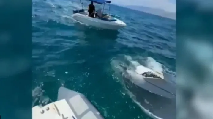 EMRAT/ Zbardhet aksidenti në ujërat e Shëngjinit, dy të rinjtë ranë nga gomonia dhe i goditi helika! Njëri humbi jetën, shoku u plagos rëndë