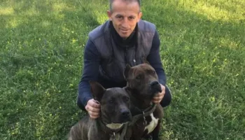 EMRI+VIDEO/ Gruaja u la e vdekur te dera e spitalit, arrestohet shqiptari, po arratisej nga porti i Barit! Hijet e “Ndraghetës”, trafiku i drogës dhe detajet