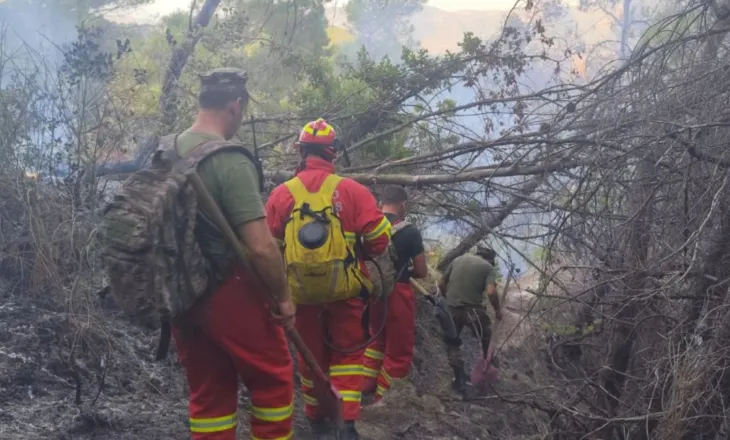 Ende aktiv zjarri në Drenie të Patosit, nis ndërhyrja për shuarjen! Gjatë natës flakët iu afruan banesave