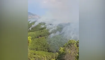 Era favorizon flakët në Mallakastër, zjarri avancon drejt Vloshit, helikopterët zjarrfikës sërish në ajër