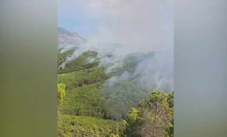 Era favorizon flakët në Mallakastër, zjarri avancon drejt Vloshit, helikopterët zjarrfikës sërish në ajër