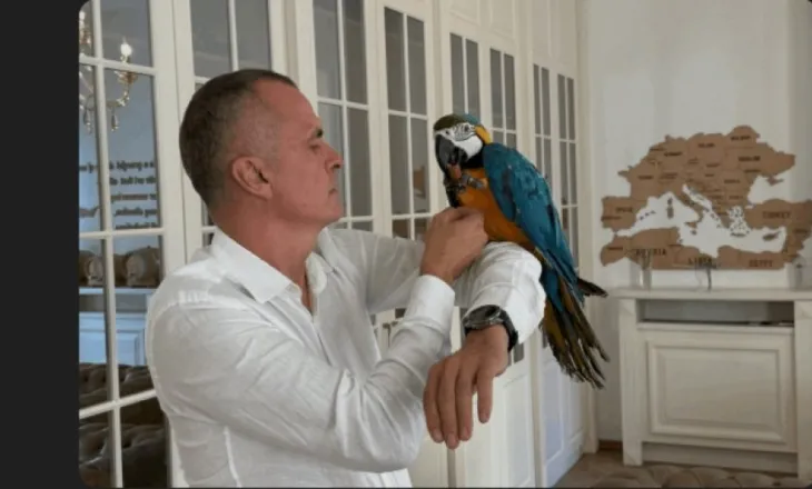 Ermal Beqiri bleu kështjellë 2.6 milionë euro në Francë, në llogari bankare 2 mln euro