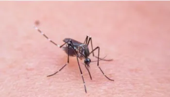 ‘Ethet e Nilit’ alarmojnë vendin/ Shpallet epidemia në 5 komuna, 26 të infektuar dhe një viktimë