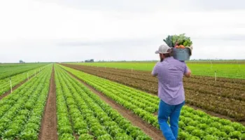 Fermerët e Sulzotajt aplikojnë luftën biologjike për prodhim më cilësor