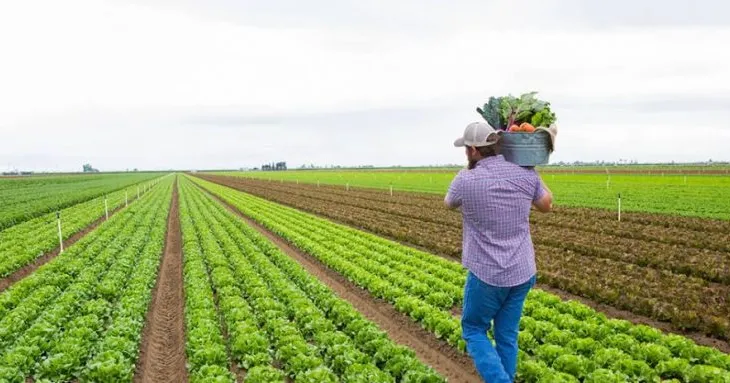 Fermerët e Sulzotajt aplikojnë luftën biologjike për prodhim më cilësor