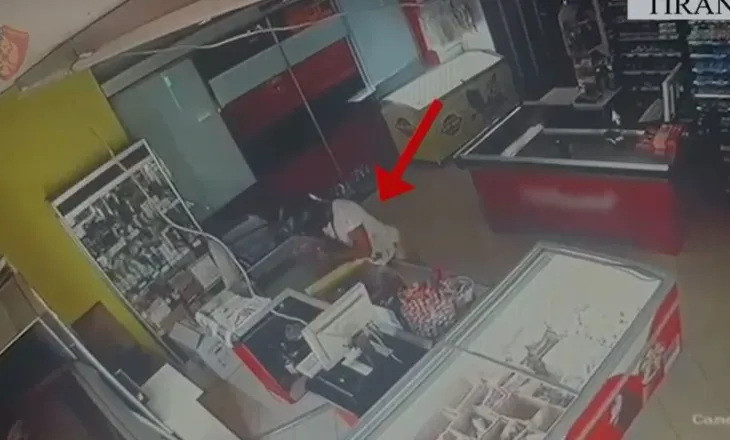 Finalizohen dy operacione policore në Tiranë, zbardhen 6 raste vjedhjesh dhe arrestohen autorët