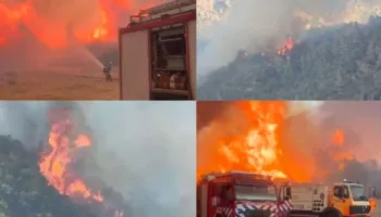 Flakë që përhapen me shpejtësi/ Situatë e rëndë nga zjarret në rrethinat e Tiranës