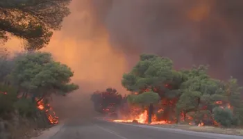 Flakët arrijnë pranë Athinës në Greqi, digjen pyje e banesa! Riaktivizohen zjarret edhe në Spanjë e Francë