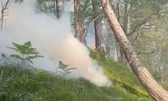 Flakët dalin jashtë kontrollit në Fushë-Bulqizë, vështirësohet ndërhyrja e zjarrfikëseve