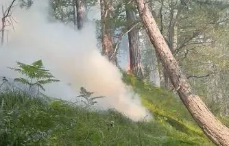 Flakët dalin jashtë kontrollit në Fushë-Bulqizë, vështirësohet ndërhyrja e zjarrfikëseve