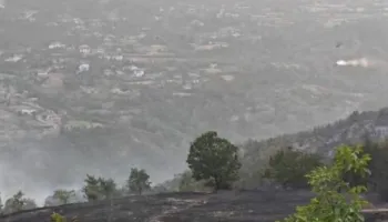 Flakët djegin hektarë me pyje dhe bimësi në disa zona të Librazhdit, dyshohet për zjarrvënie të qëllimshme!