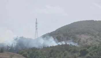 Flakët djegin pyjet dhe kullotat në Maliq, zjarrfikësit vënë situatën nën kontroll pas ndërhyrjes!