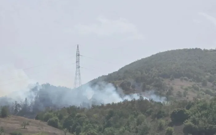 Flakët djegin pyjet dhe kullotat në Maliq, zjarrfikësit vënë situatën nën kontroll pas ndërhyrjes!