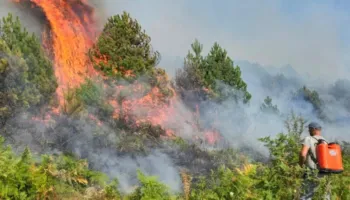 Flakët iu afruan banesave, zjarri në Drenie del jashtë kontrollit, kërkohet ndërhyrje nga ajri