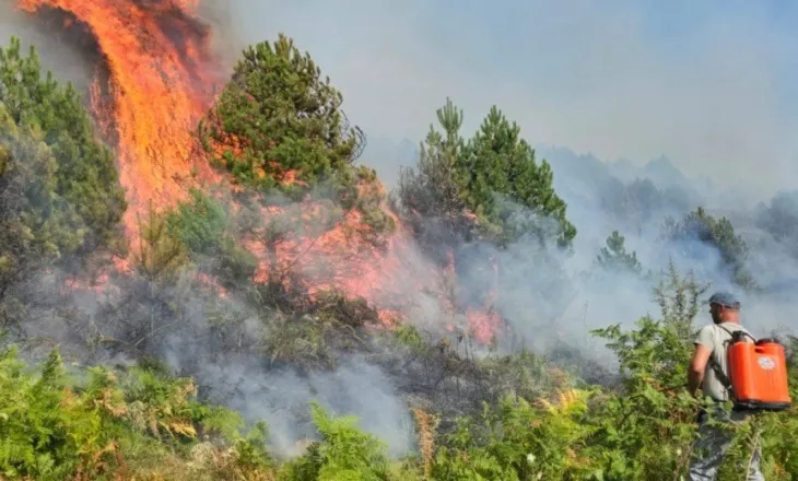 Flakët iu afruan banesave, zjarri në Drenie del jashtë kontrollit, kërkohet ndërhyrje nga ajri