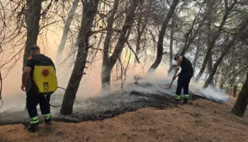 Flakët në Mallakastër jashtë kontrollit, situatë kritike në Riban dhe Ngraçan