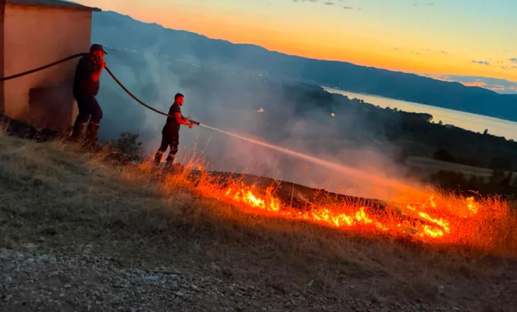 Flakët përfshijnë edhe kodrat e Tushemishtit, MZSH apel qytetarëve për kujdes maksimal