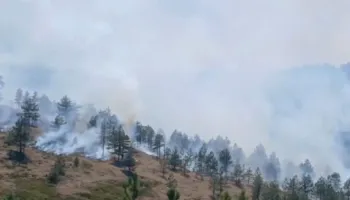Flakët përfshijnë pyjet e Tërbunit në Pukë, dyshohet për zjarrvënie të qëllimshme