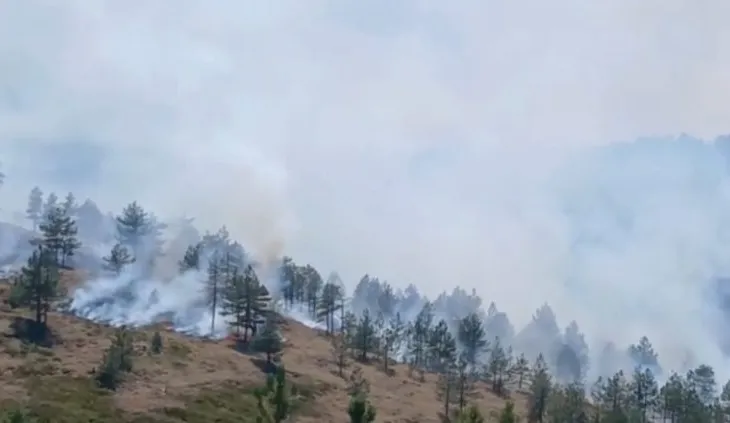 Flakët përfshijnë pyjet e Tërbunit në Pukë, dyshohet për zjarrvënie të qëllimshme