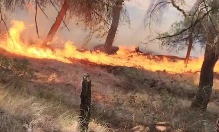 Flakët pushtojnë zonën e Penkovës në Selenicë, kërkohet ndërhyrje shtesë nga zjarrfikësit