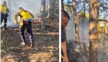 Flakët rrezikojnë kurorën e gjelbër të Pukës, dyshohet për zjarrvënie të qëllimshme