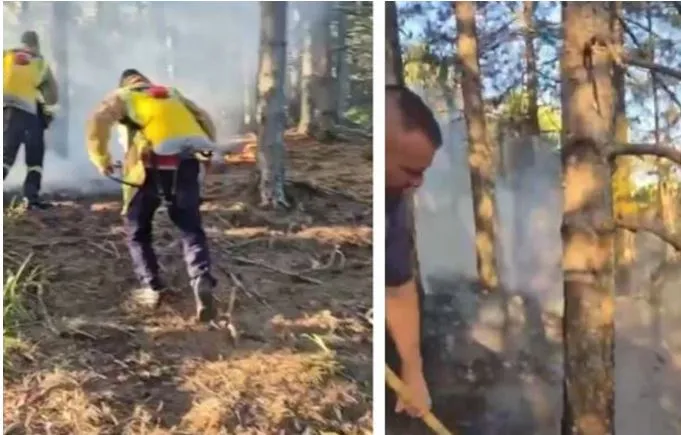 Flakët rrezikojnë kurorën e gjelbër të Pukës, dyshohet për zjarrvënie të qëllimshme