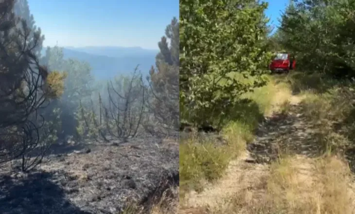 Flakët shuhen në “Lëndinën e Madhe” të Devollit, 18 forca dhe 2 mjete mbajnë nën kontroll zonën