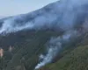 Flakët vijojnë të përpijnë pyjet në dy fshatrat e Pukës, era favorizon zjarrin, ka ende rrezik për banorët!