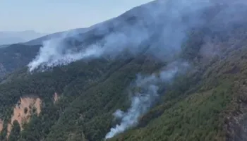 Flakët vijojnë të përpijnë pyjet në dy fshatrat e Pukës, era favorizon zjarrin, ka ende rrezik për banorët!