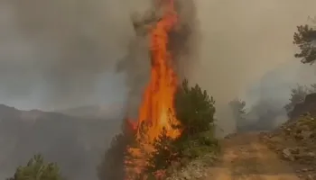 Forcat e Armatosura vijojnë luftën me zjarret, si paraqitet situata në Dajt dhe Pukë