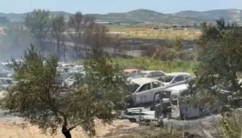 FOTO/ 150 mjete të djegura dhe disa hektarë pemëtore të shkrumbuara, ja çfarë la pas zjarri në Selenicë