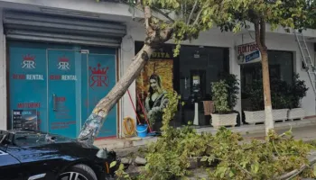 FOTO-LAJM/ Aksident në Sarandë, makina përplas kazanët e plehrave dhe përfundon te pemët