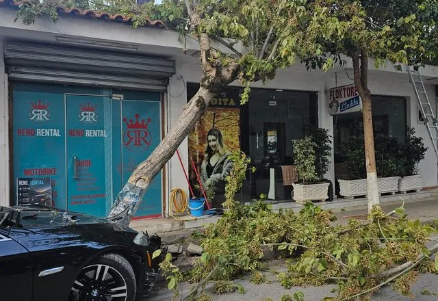 FOTO-LAJM/ Aksident në Sarandë, makina përplas kazanët e plehrave dhe përfundon te pemët
