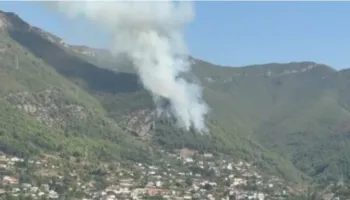 FOTO/ Zjarr i madh në masivin pyjor të Milotit, era favorizon vatrën, flakët po i afrohen dhe zonës së banuar!