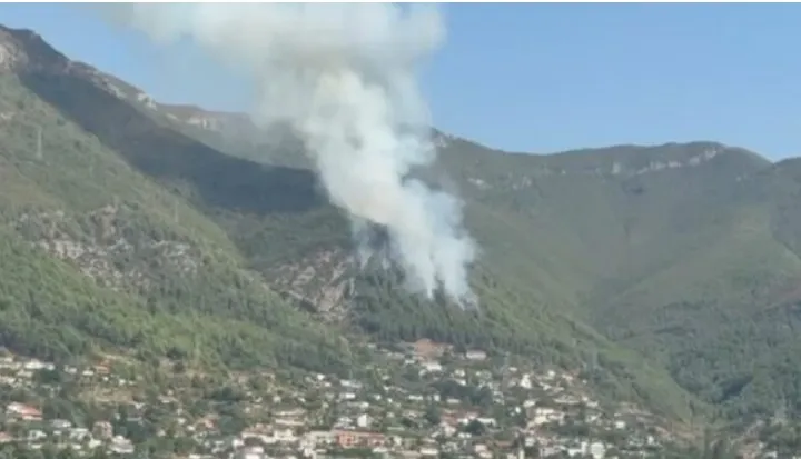 FOTO/ Zjarr i madh në masivin pyjor të Milotit, era favorizon vatrën, flakët po i afrohen dhe zonës së banuar!