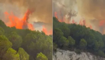 FOTO/ Zjarri në Riban të Mallakastrës merr përmasa të mëdha, flakët përfshijnë kurorën me pisha, era e fortë…