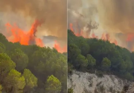 FOTO/ Zjarri në Riban të Mallakastrës merr përmasa të mëdha, flakët përfshijnë kurorën me pisha, era e fortë…