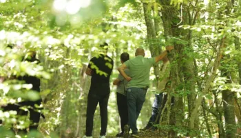 Gërmimet për një varr masiv, Kosova arreston edhe një tjetër të dyshuar për krime lufte në Zubin Potok